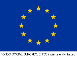 bandera FSE